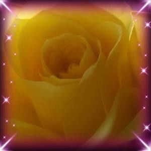 Meet your Posher, Mandi